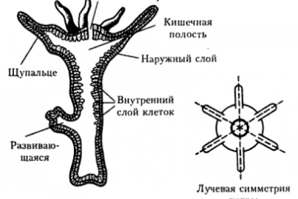 Магазин наркошоп